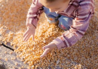 A child digging in the corn pit