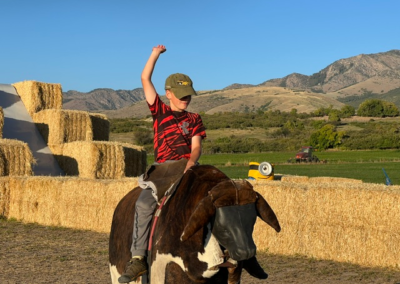 A young boy riding a mechanical bull