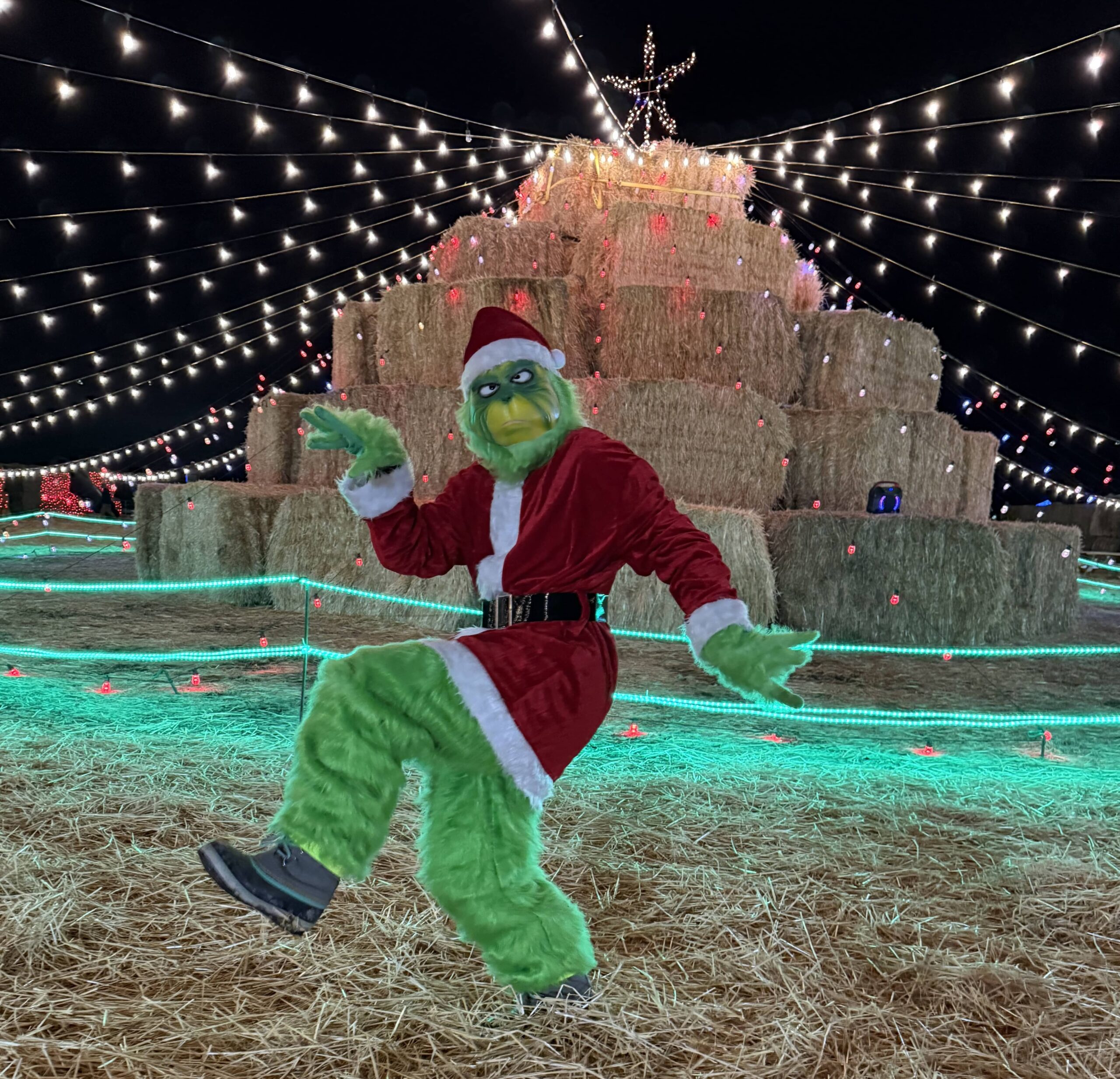 Wandering Through Christmas - Cache Valley Straw Maze