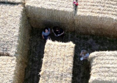 An aerial view of people in the maze